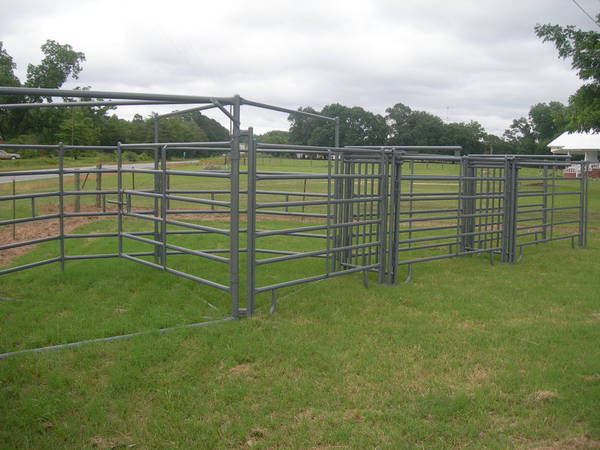 Bad Cattle Panels Chutes/Fencing/Handling Equip (3071216) BAD CATTLE ...