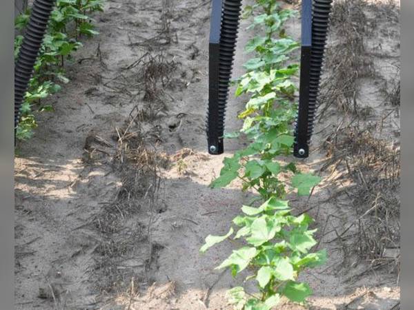 First Products Fertilizer Box 3-Point Mounted Fertilizer (5050678 ...