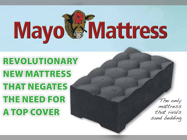 mayo clinic best mattress