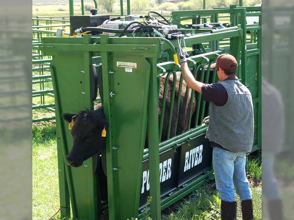 Powder River HC2000 Hydraulic Chute Chutes/Fencing/Handling Equip #na ...