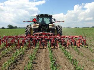 2023 Einbock CHOPSTAR 12R22