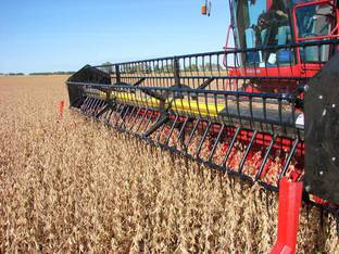 2026 Crary AIR REEL 45'