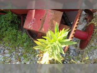 1982 International 1480