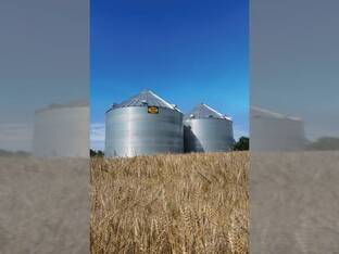 GMLS Industries Inc.