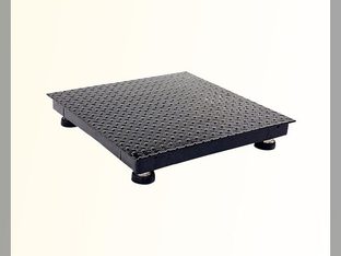 Rinstrum RFS Floor Scale