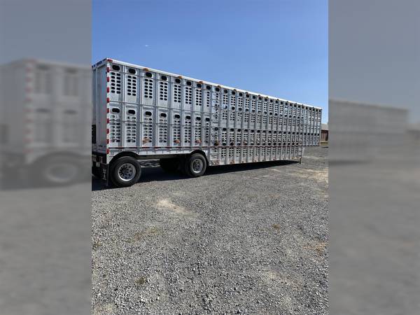 2013 Wilson cattle trailer