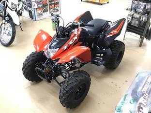 2024 Honda TRX250X