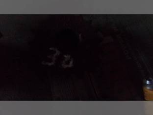 1982 Vermeer Mfg. Co. 605F