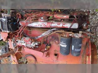 1981 International DT436