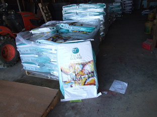 Excell Equine horse Feed