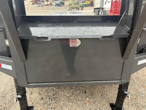 2023 Rice dog22305