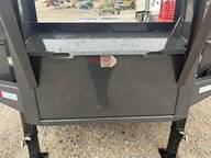 2023 Rice dog22305