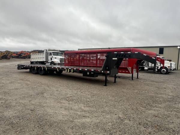 2023 Rice dog22305