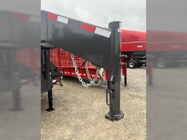 2023 Rice dog22305