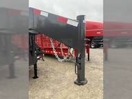 2023 Rice dog22305