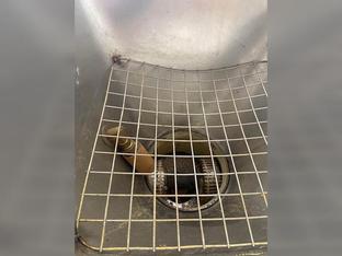 Eco - 10 Pellet Mill 10 Hp 3 Phase