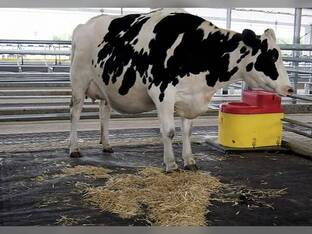 Promat Maternity/Calving Pen Mattresses