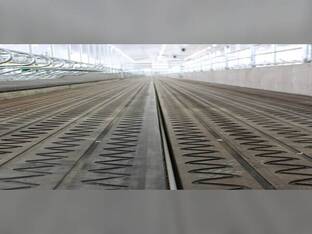 Legend Rubber Grove Belt