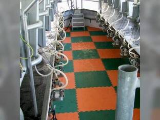 Legend Rubber Parlor Tiles