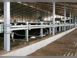 J&D Manufacturing Inc Adj Twin Beam Suspended Freestall Sys