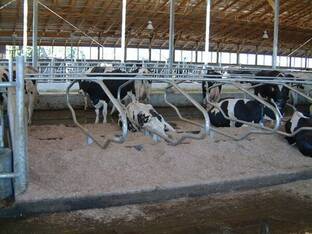 VES-Artex Floor Mount System