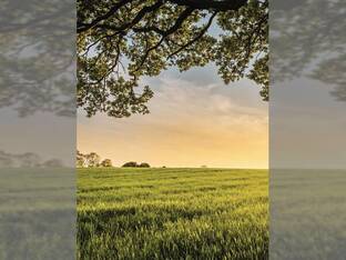 Richland Micro Drainage