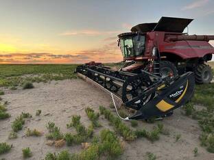 2020 MacDon Industries FD145