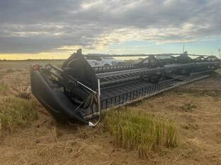 2015 MacDon Industries FD75