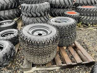 2021 CARLISLE 25X10.00-12NHS