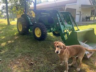 2019 John Deere 5065E