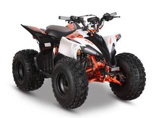 2026 Kayo Predator 125