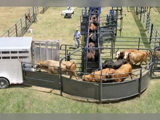 Priefert Solid Sweep System