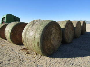 HAY FOR SALE