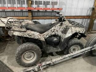 2008 Kawasaki Brute force 750