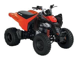 2026 Can-Am DS 250