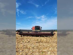 2000 Case IH 1020