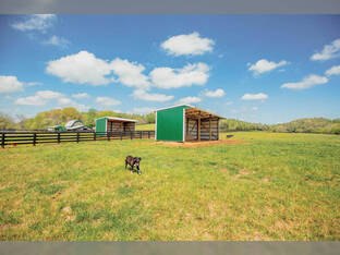 12'X36'X10-9' Run-In/Loafing Shed