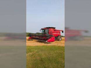 2007 Case IH 7010