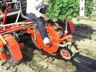 2022 Checchi & Magli WOLF 1 ROW  TRANSPLA