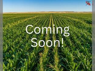 2019 John Deere 6105E